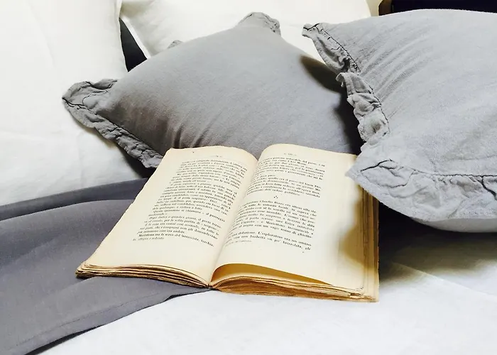 Blq 01boutique Bolonia